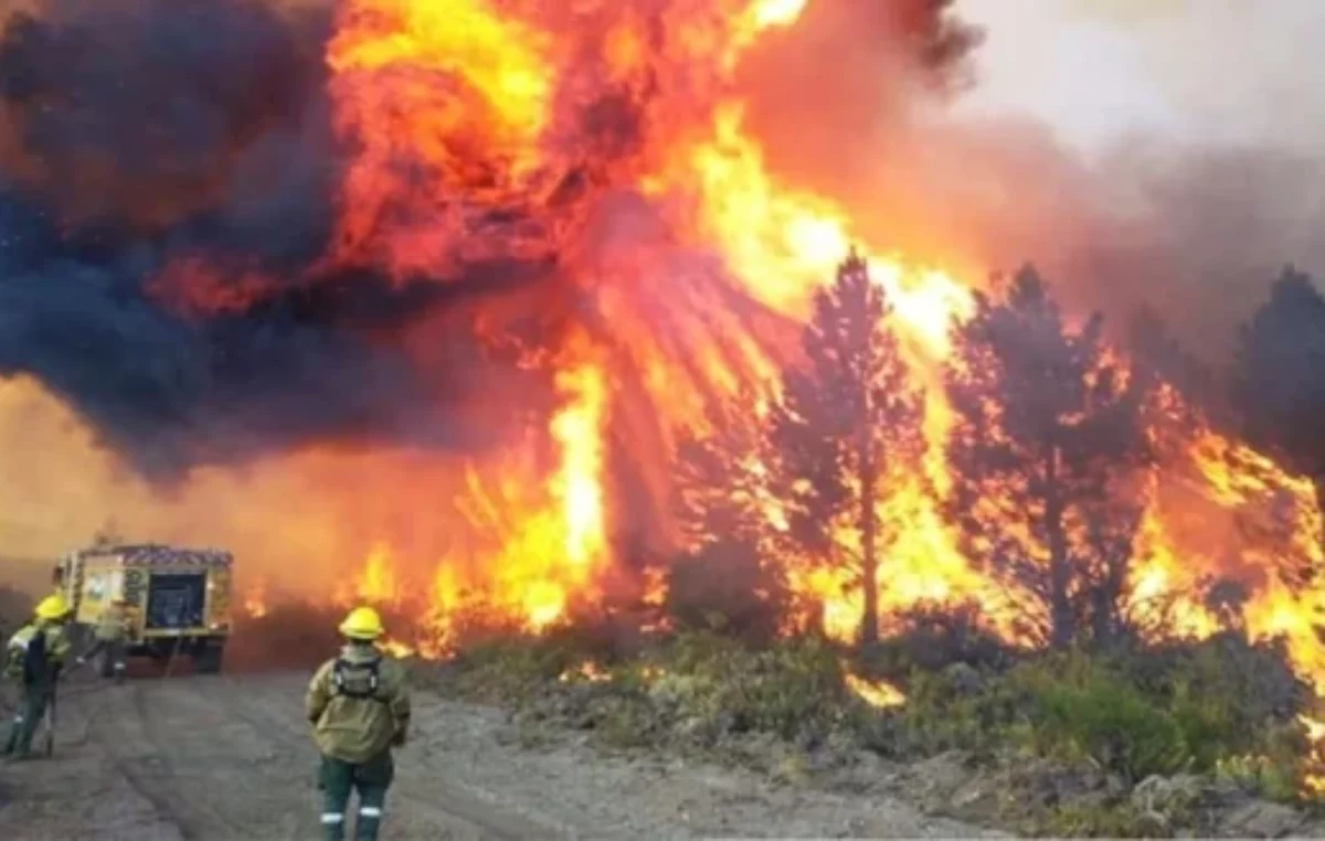 Graves incendios forestales en la Patagonia: casi 25 mil hectáreas ya fueron consumidas por el fuego fuera de control en Chubut, Río Negro y Neuquén