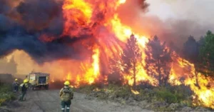 Graves incendios forestales en la Patagonia: casi 25 mil hectáreas ya fueron consumidas por el fuego fuera de control en Chubut, Río Negro y Neuquén