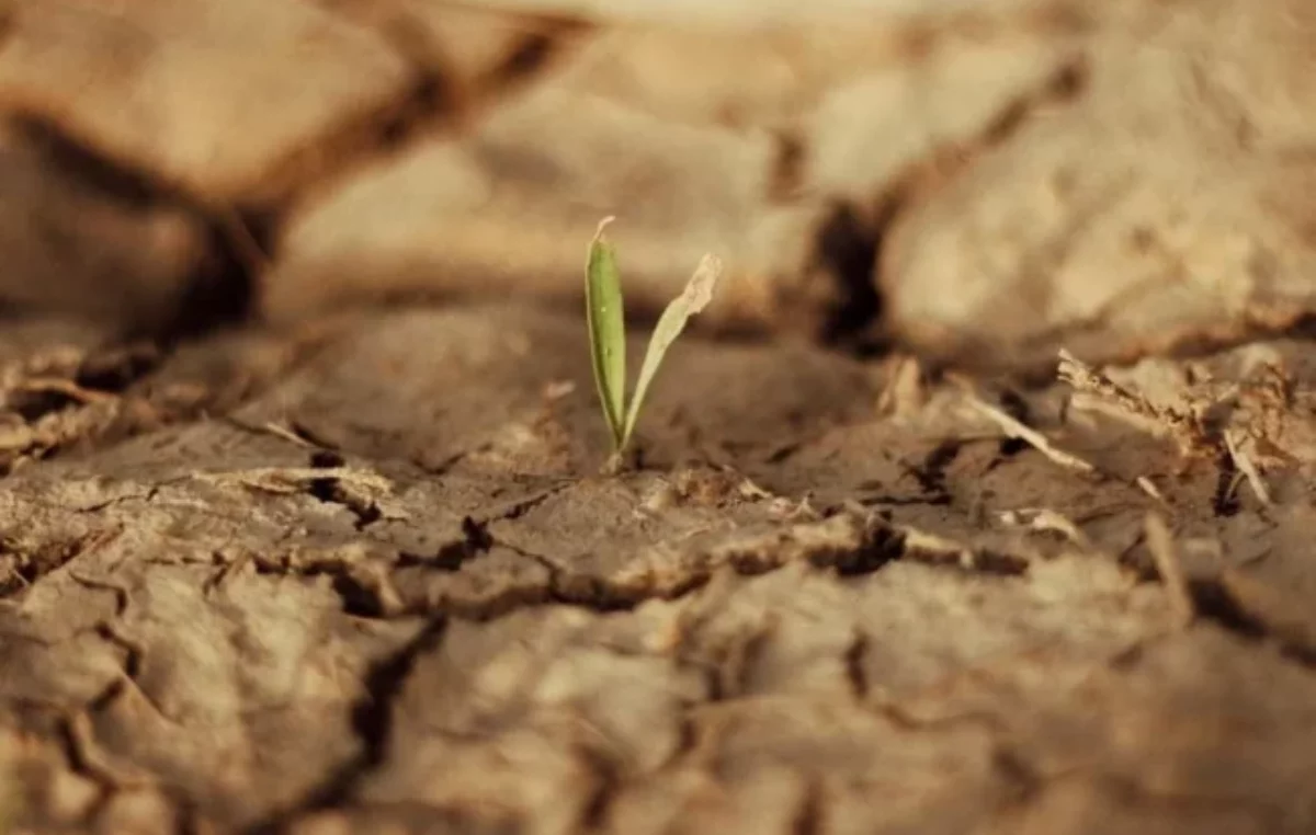 La vulnerabilidad de Argentina ante el cambio climático: otra mirada a la polémica que instaló Milei