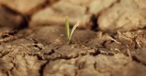 La vulnerabilidad de Argentina ante el cambio climático: otra mirada a la polémica que instaló Milei