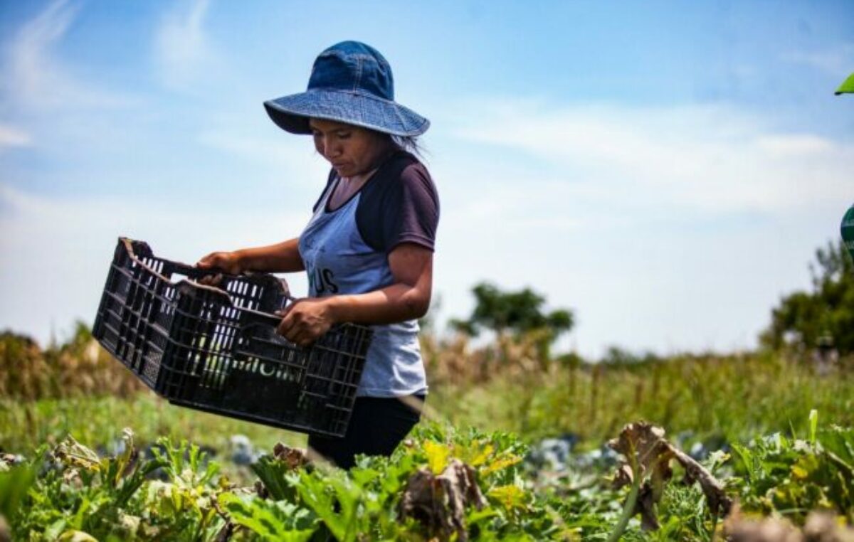 El “otro campo” cruzó a Milei por el criptoescándalo: “Más producción y menos timba”