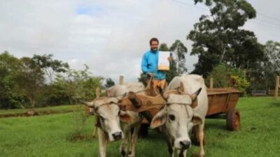 Familias de zonas rurales y urbanas de El Soberbio recibirán 67 nuevos títulos de propiedad