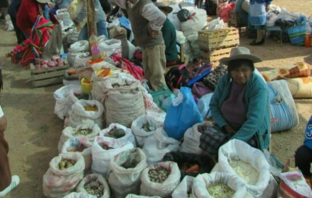 Jujuy: Llega la Gran Feria Campesina a la Vieja Estación