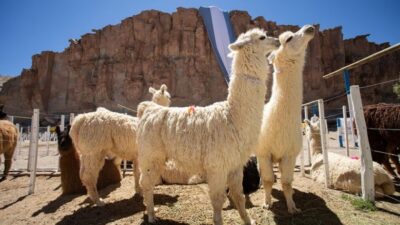 De Córdoba a Tucumán, los mejores destinos de la Ruta 157 para recorrer en el otoño