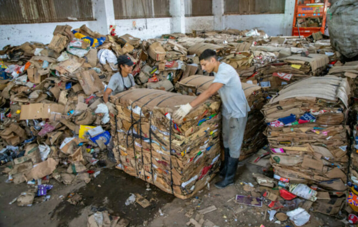 Recolección diferenciada: una acción cotidiana con gran impacto ambiental para Esperanza