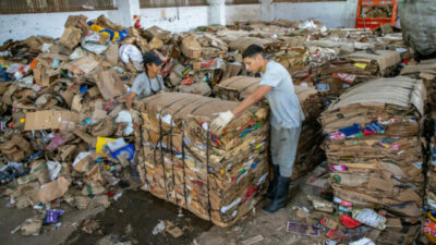 Recolección diferenciada: una acción cotidiana con gran impacto ambiental para Esperanza