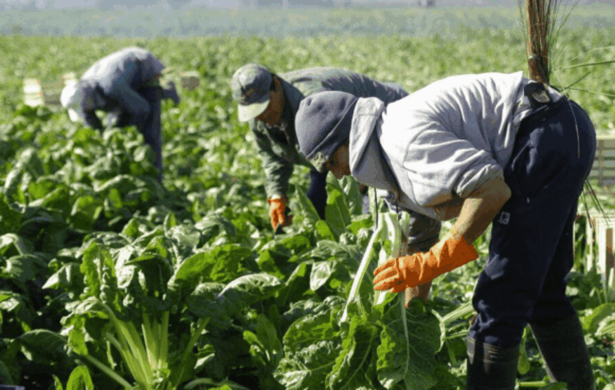 Casi el 30% de los trabajadores no superan la línea de pobreza
