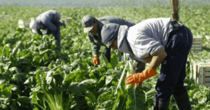 Casi el 30% de los trabajadores no superan la línea de pobreza