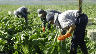 Casi el 30% de los trabajadores no superan la línea de pobreza
