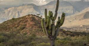 Aventura salteña: un llamado a sentir y conectar