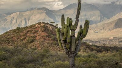 Aventura salteña: un llamado a sentir y conectar