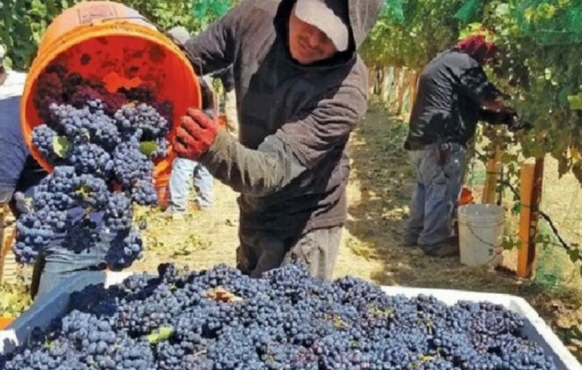 Hay preocupación por la crisis extendida en las economías regionales