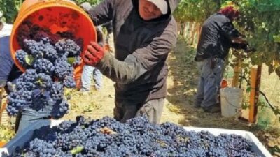 Hay preocupación por la crisis extendida en las economías regionales