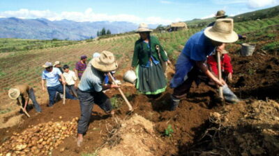 En Perú gremios agrarios exigen al Congreso rechazar nueva ley perjudicial para el sector