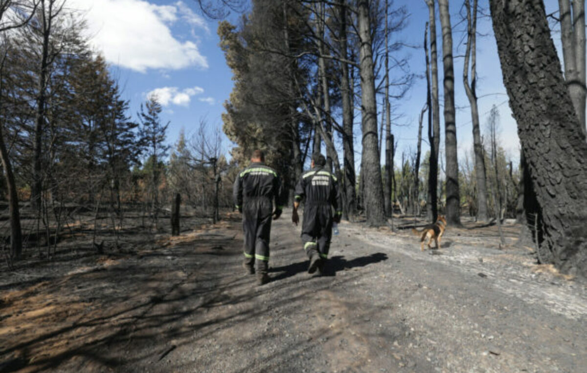 Río Negro: Critican la falta de asistencia tras los incendios forestales
