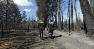 Río Negro: Critican la falta de asistencia tras los incendios forestales