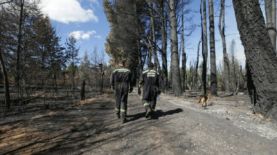 Río Negro: Critican la falta de asistencia tras los incendios forestales