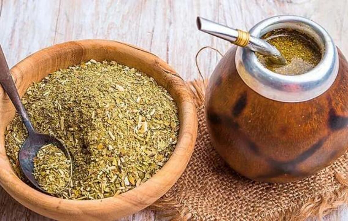 Argentina lanza la primera escuela dedicada exclusivamente al estudio de la yerba mate