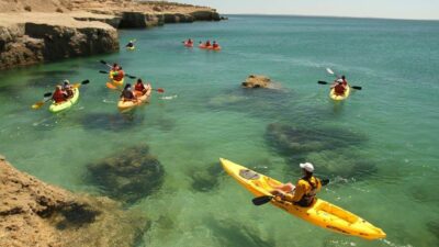 Destino irresistible: Puerto Pirámides es la bahía más cristalina de Sudamérica