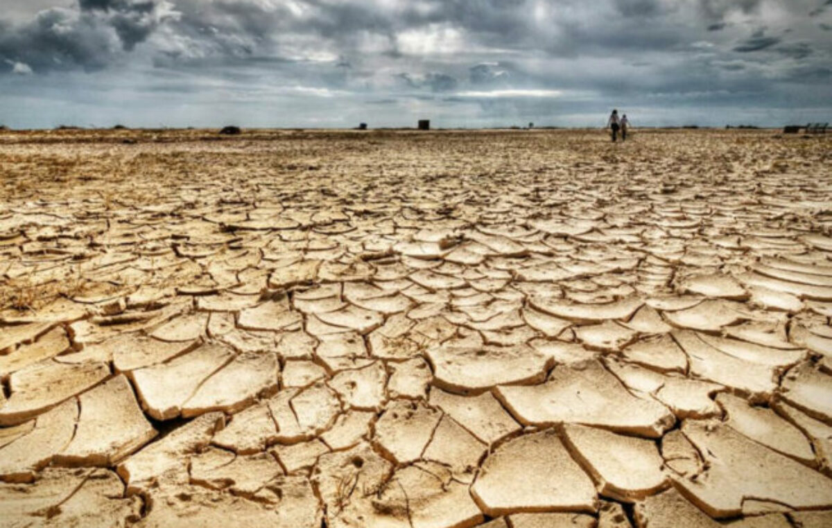 La protección ambiental en América Latina, en caída libre