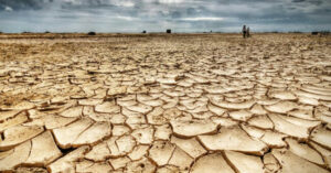 La protección ambiental en América Latina, en caída libre