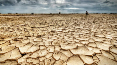 La protección ambiental en América Latina, en caída libre