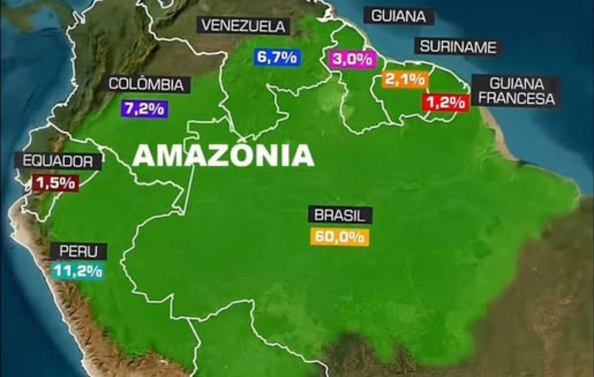 La ONU posiciona a la Amazonía como clave en la lucha contra el hambre y la crisis climática