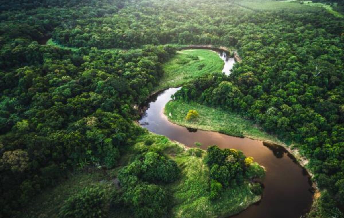 Brasil anuncia US$1.000 millones para fondo de bosques tropicales