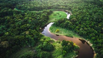 Brasil anuncia US$1.000 millones para fondo de bosques tropicales