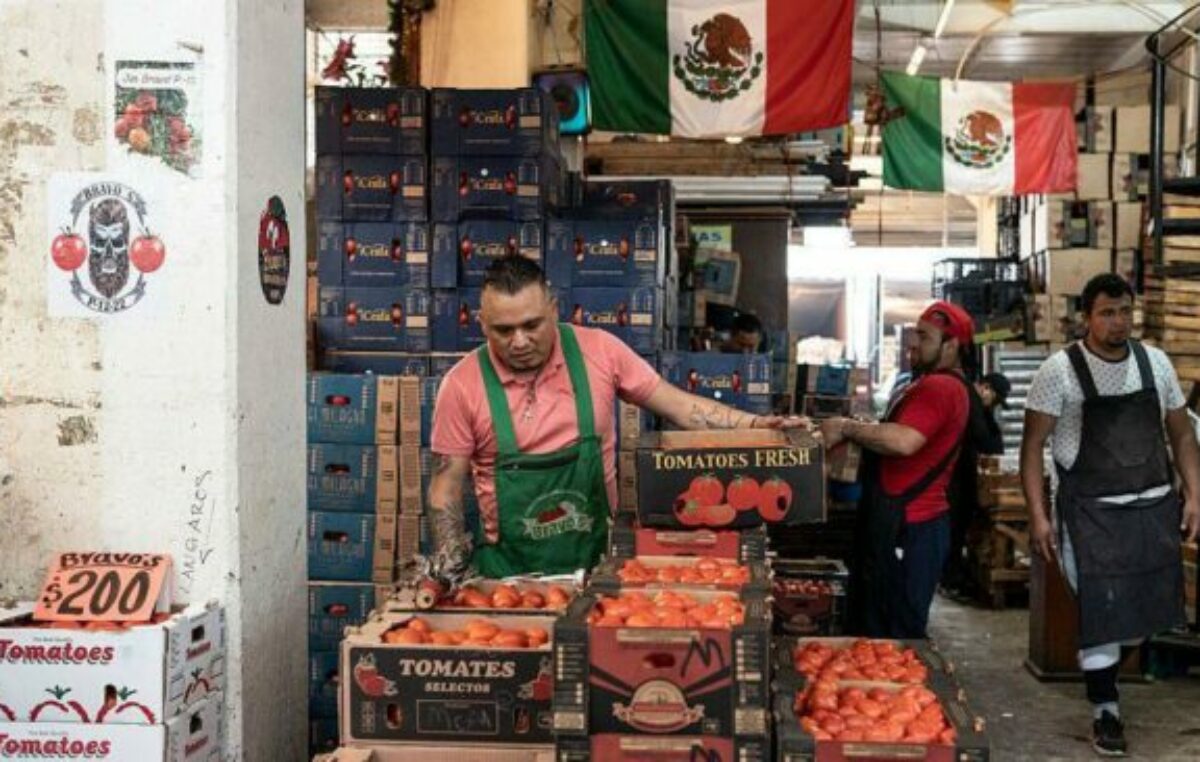 «El capitalismo depredador no funcionó para muchos y ahora esas clases resentidas buscan revancha»