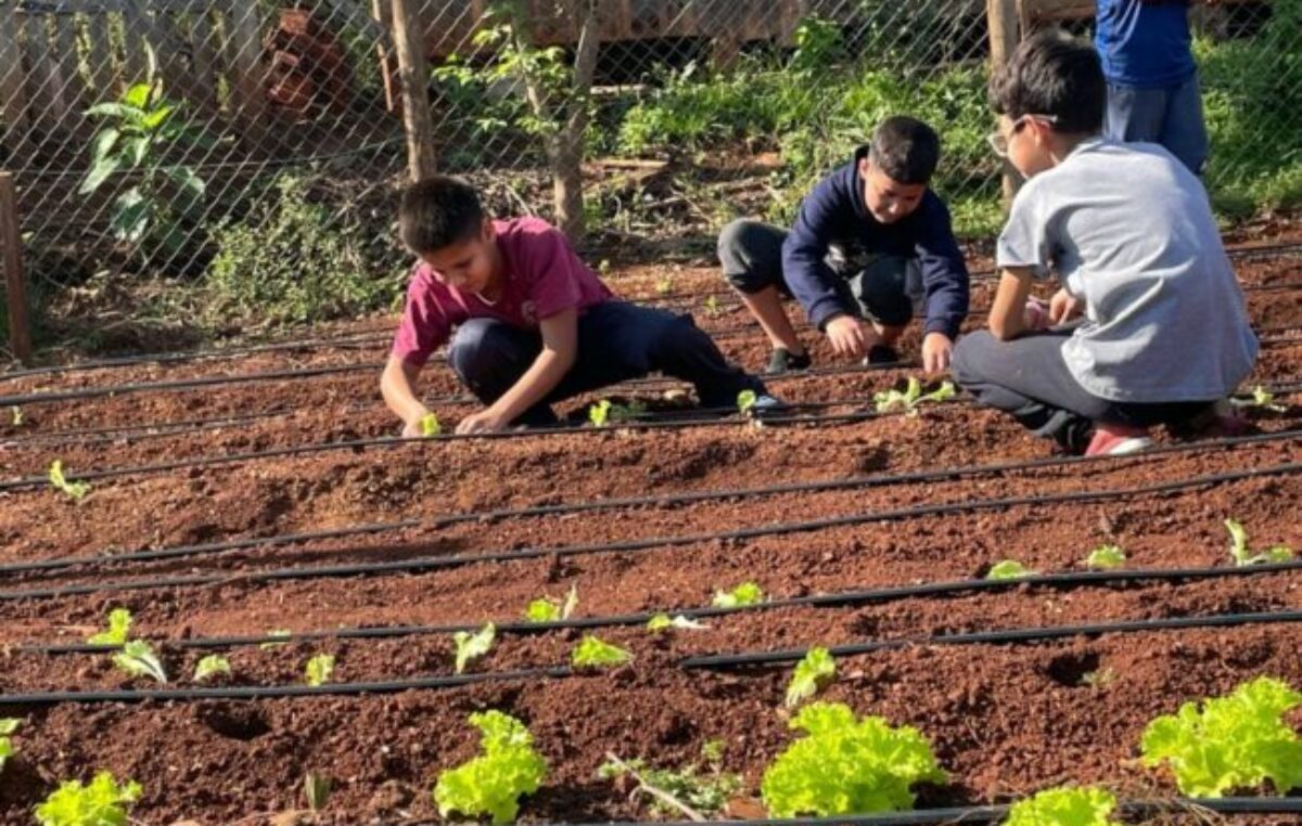 Eldorado impulsa huertas escolares para enseñar a producir alimentos de manera sostenible