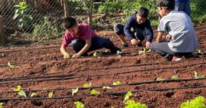 Eldorado impulsa huertas escolares para enseñar a producir alimentos de manera sostenible