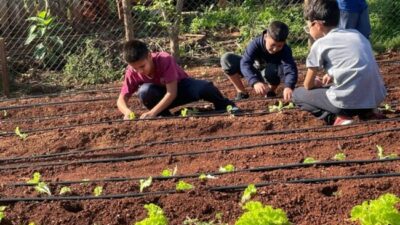 Eldorado impulsa huertas escolares para enseñar a producir alimentos de manera sostenible