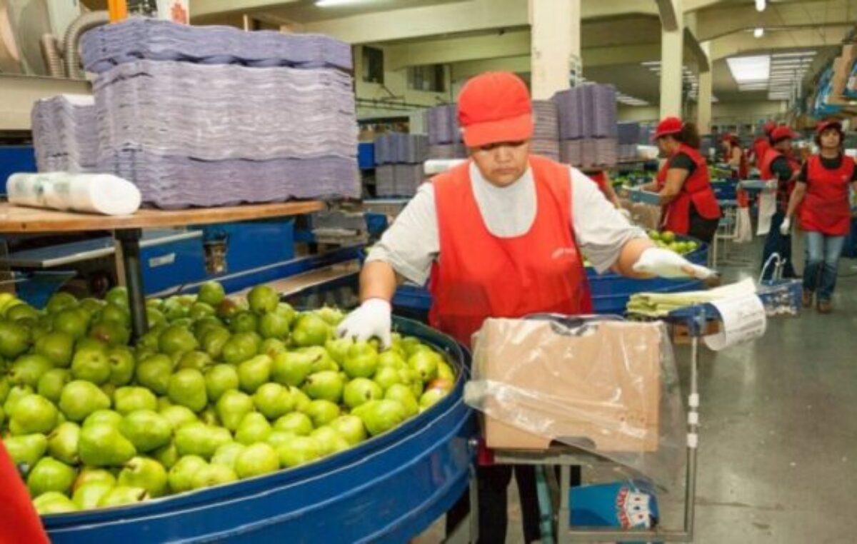 Cómo impacta la nueva modernización laboral en trabajadores y empresas de Neuquén y Río Negro