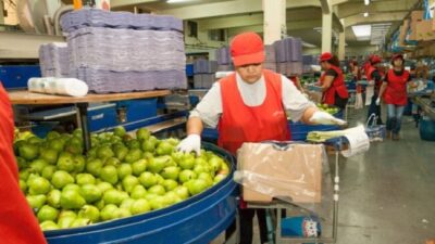 Cómo impacta la nueva modernización laboral en trabajadores y empresas de Neuquén y Río Negro