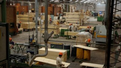 Crisis de la madera: FAIMA presentó al Gobierno Nacional cuatro medidas urgentes para reactivar la economía de las PyMEs