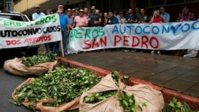 “El Gobierno nacional destruyó 20 años de trabajo del sector yerbatero” afirmó ex presidente del INYM