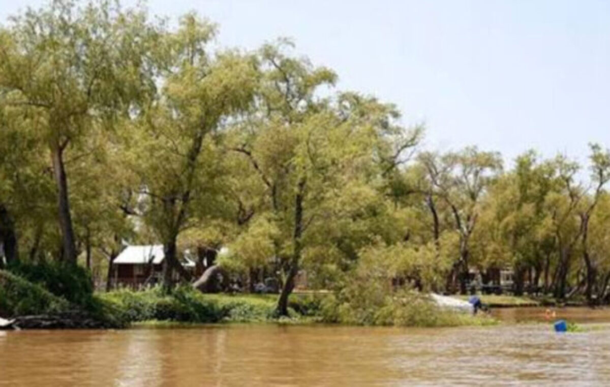 Delta del Paraná: la Justicia falló a favor de Rosario para recuperar 800 hectáreas de humedales