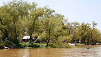 Delta del Paraná: la Justicia falló a favor de Rosario para recuperar 800 hectáreas de humedales