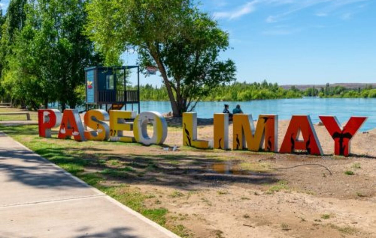 Corredores polinizadores en la ciudad de Neuquén: ¿de qué se trata la iniciativa?