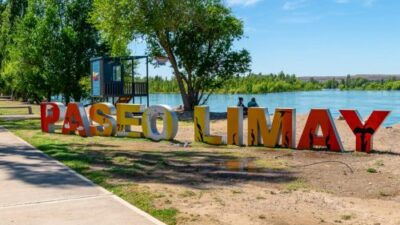 Corredores polinizadores en la ciudad de Neuquén: ¿de qué se trata la iniciativa?