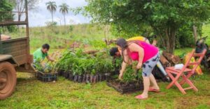 Misiones sustentable: Más de 200 mil árboles nativos ya fueron plantados en la provincia con la participación de cientos de familias rurales