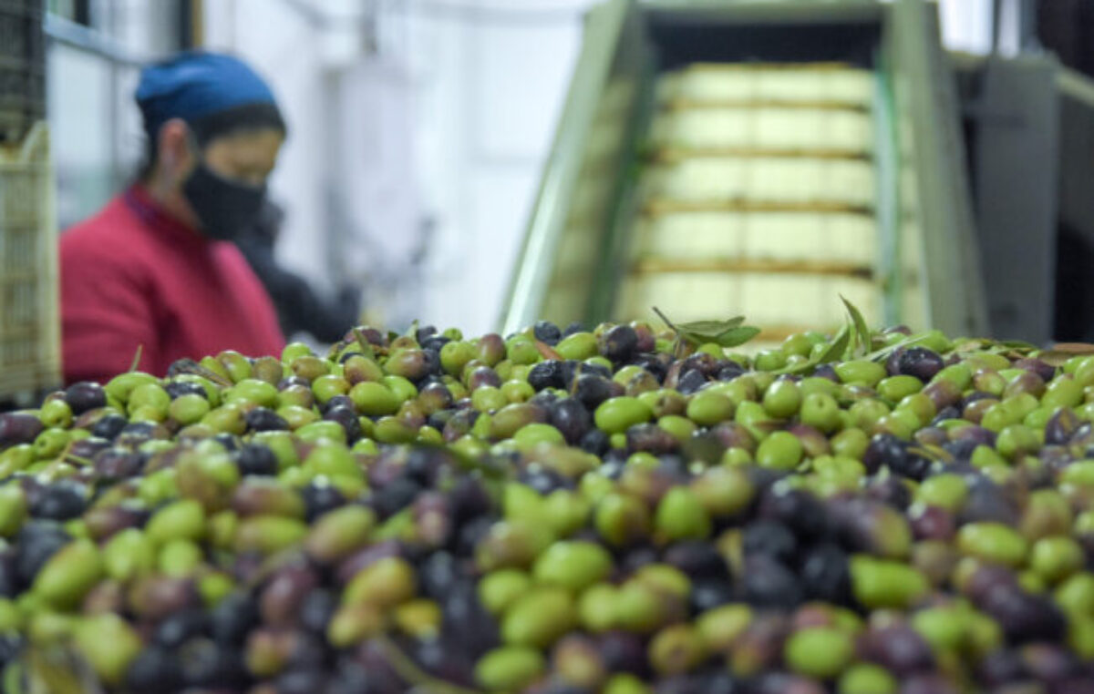 Informe de la CAME: las pymes mendocinas sufren una caída histórica en ventas