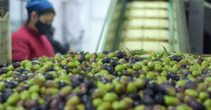 Informe de la CAME: las pymes mendocinas sufren una caída histórica en ventas