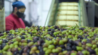 Informe de la CAME: las pymes mendocinas sufren una caída histórica en ventas