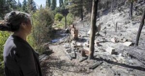 Vecina de Epuyén denuncia que nunca llegó la ayuda por los incendios de enero