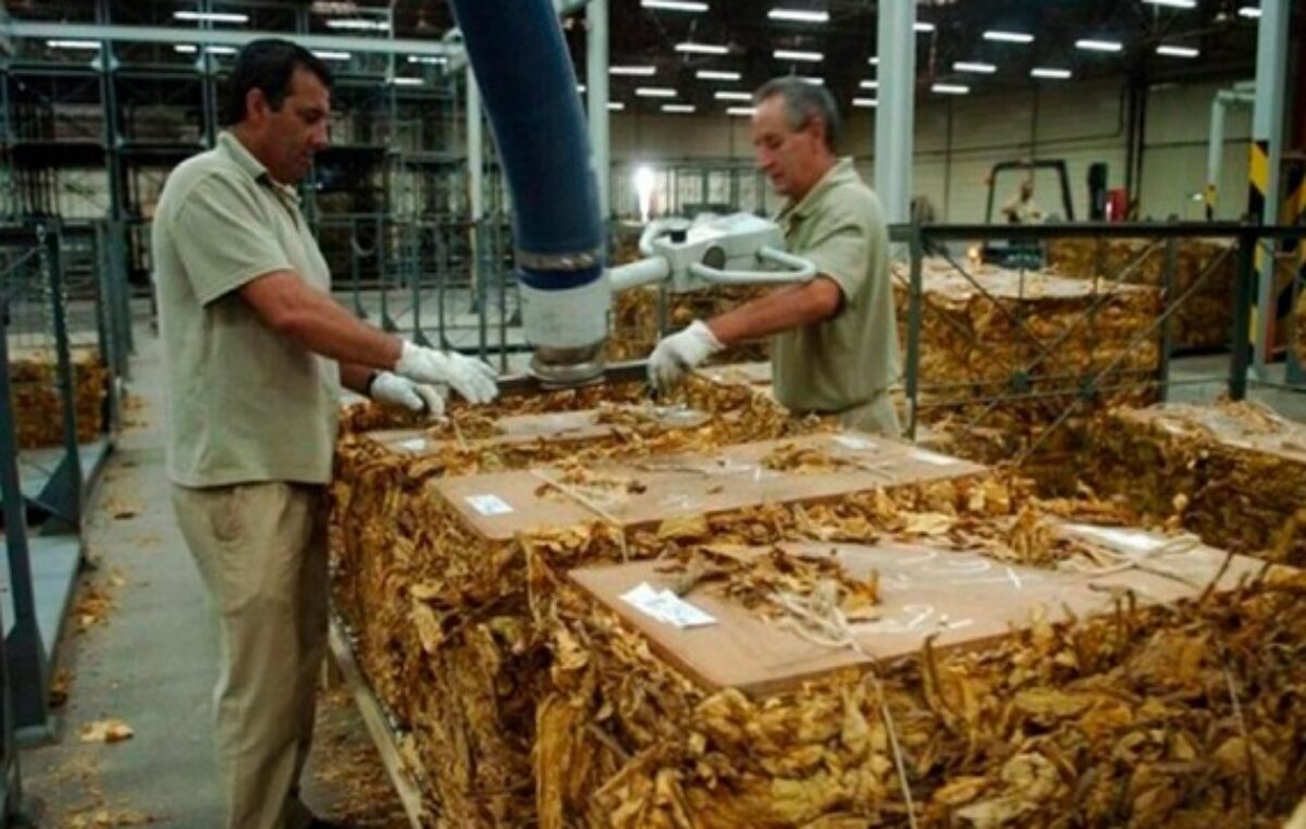 Cerró una multinacional tabacalera en Jujuy y despidió a 120 personas