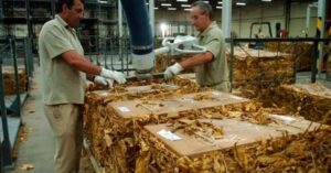 Cerró una multinacional tabacalera en Jujuy y despidió a 120 personas