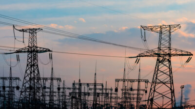 Milei a favor de las distribuidoras