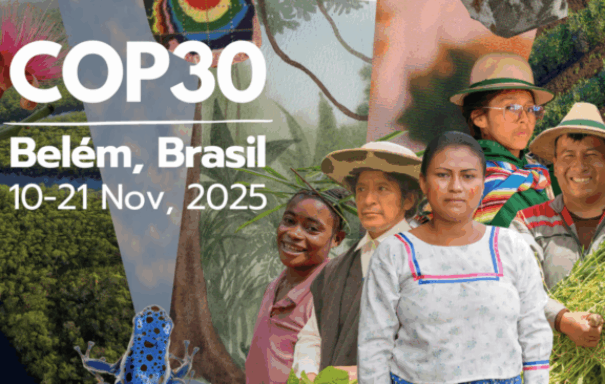 El plan brasileño integra la gobernanza climática en el país